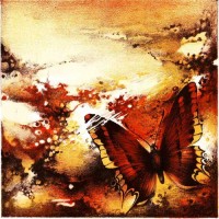 Motýlí křídla IV.